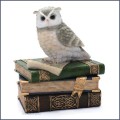 collared scopes owl on books trinket jewelry box